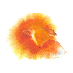 Little red fox. Watercolor illustration isolated on white. Original hand drawn painting.