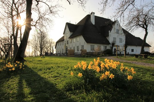 Roter Haubarg bei Witzwort