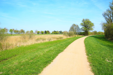 Scenic Duemmer See Natural Preserve in Lower Saxony, Germany