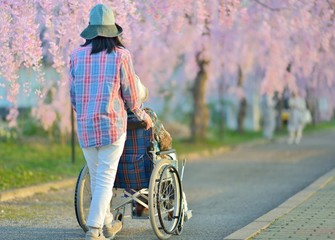 介護・家族