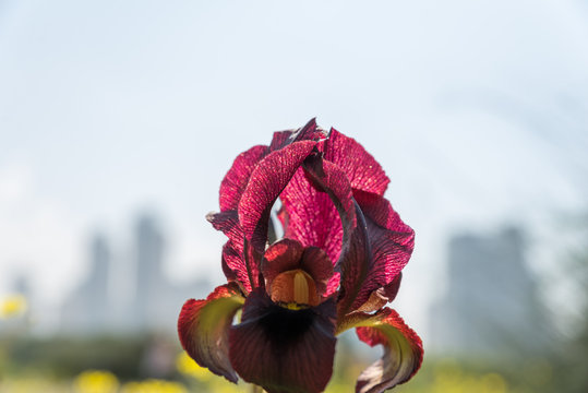 Irus Argaman Reserve in Netanya