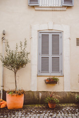 Fototapeta na wymiar potted plants on street near old building in Castel Gandolfo, Rome suburb, Italy
