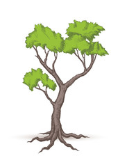 Beautiful tree vector  on a white background.