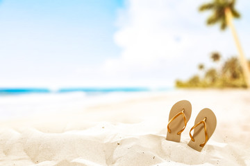 summer time on beach 