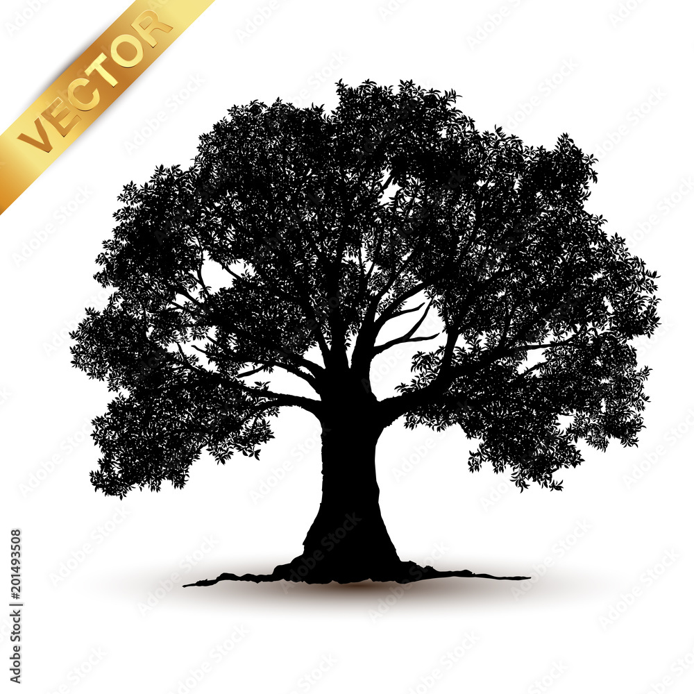 Wall mural tree silhouette isolated on white background.