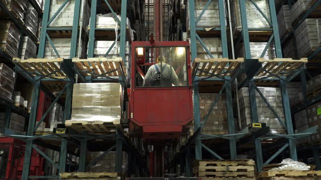 Man operating forklift, lifting and placing stock on shelving in warehouse.