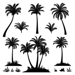 Fototapeta premium Ustaw palmy, egzotyczne krajobrazy, rośliny tropikalne i czarne sylwetki trawy na białym tle. Wektor