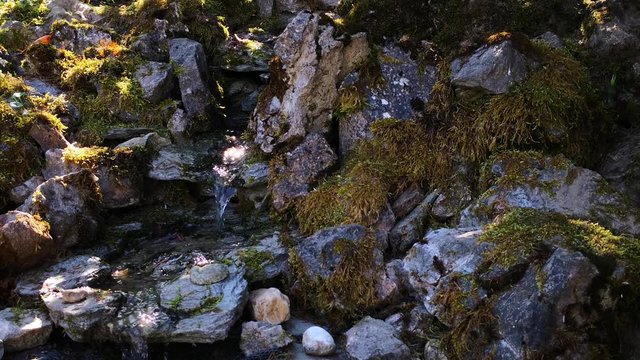 Wilde Romantik - ein Bach flie&szlig;t durch Moos bewachsene Felsen im Morgenlicht
