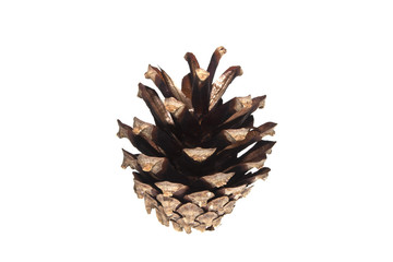 cone isolated on white background