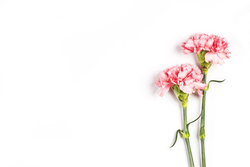 Carnations, happy mother's day, greeting cards