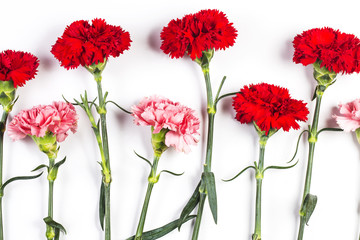 Carnations, happy mother's day, greeting cards