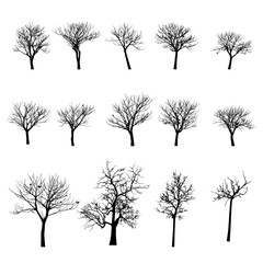 vector black silhouette of a bare tree - obrazy, fototapety, plakaty