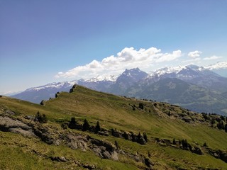 Fototapeta premium dav