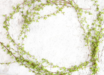 Frame with green tree branches on white stone background. Spring branches with young leaves on concrete floor.