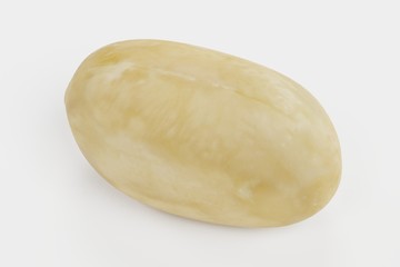 Realistic 3D Render of Peanut
