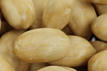 Realistic 3D Render of Peanuts