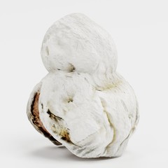 Realistic 3D Render of Popcorn