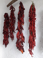Pimientos choriceros para preparados de ricas comidas en el pueblo de Capileira.