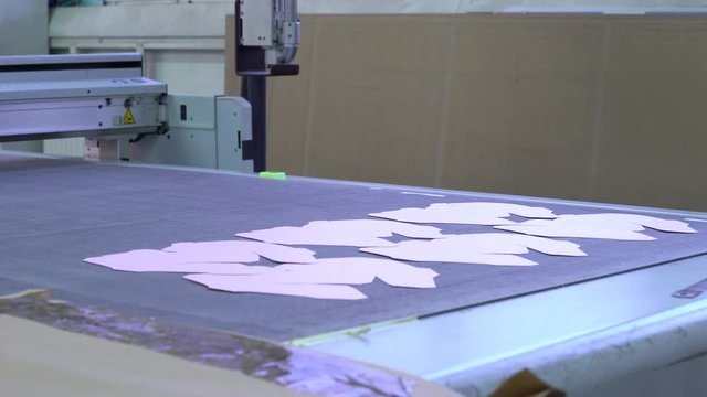 Result of cutting on the plotter