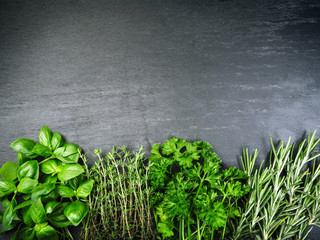 Herbs on slate background © sumnersgraphicsinc