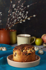 Panettone. Traditional Italian holiday cake. Fresh, soft, buttery rich sweet bread with plump rum-soaked raisins