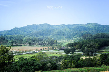 Green park and  garden landscape with cloudy sky