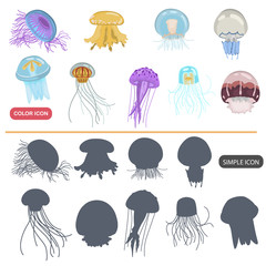 Jelly fishcolor flat and simple icons set