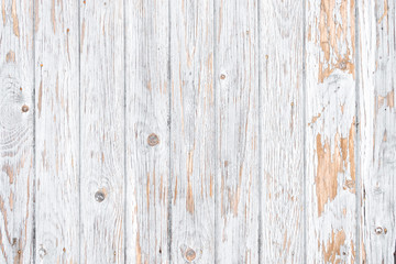 Fototapeta na wymiar texture of bark white painted wood use as natural background