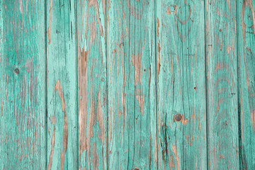 texture of bark green painted wood use as natural background