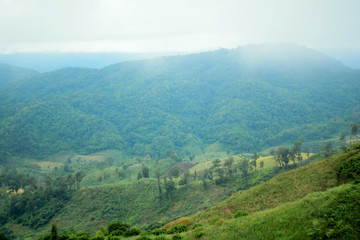 Fototapeta premium Mountain and cloudy sky landscape in winter, highland in north of Thailand