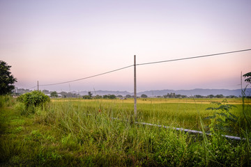Obraz premium the meadow in the evening with sunset