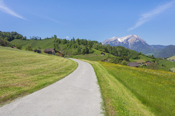 Fototapeta na wymiar Springtime view in the Swiss canton of Nidwalden