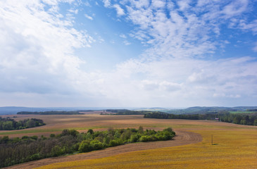 Fototapeta na wymiar Spring landscape with field, forest and sky