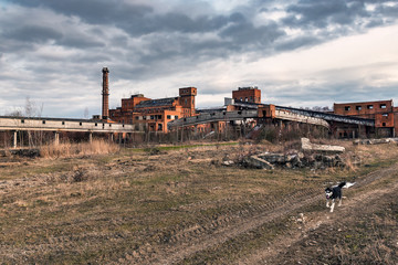 ruins of abandoned factory © Volodymyr Shevchuk