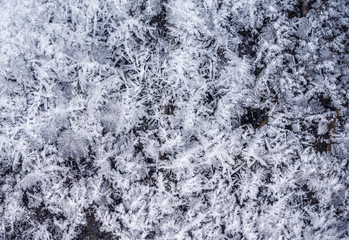 texture of frozen water