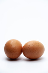 Two single eggs on plain background