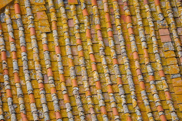 Old style rooftops and roof tiles in Italy