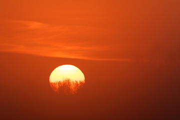 Sonnenaufgang im Frühling (Lewitz nahe Schwerin, Deutschland)