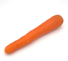 fresh organic of four carrots isolated on white background, chopped, slices for cooking, from the garden