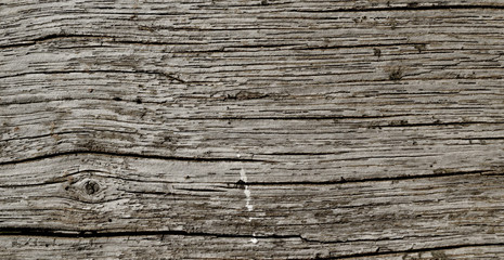 close up old wooden texture background,Wooden texture, empty wood background