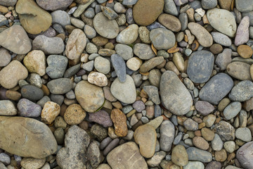 Striped stone in nature