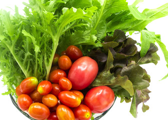 fresh organic of colorful mix vegetables isolate on white background, green and red lettuce, mizuna lettuce, cherry tomato, ingredients are preparing in the blow for cooking, healty