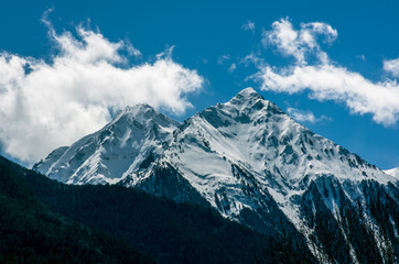 Beautiful forests and snowy mountains of Pyrenees, France