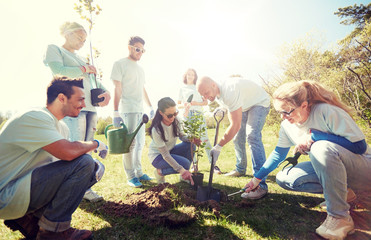 volunteering, charity, people and ecology concept - group of happy volunteers planting tree and...