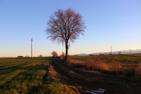 fossano in autumn