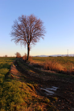 fossano in autumn