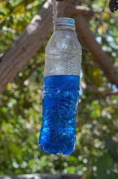 Halbvolle Transparente Plastikflasche mit blauem Inhalt hängt von einem Baum
