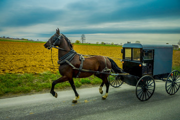 View of Amish buggy on a road with a horse in eastern Pennsylvania