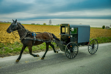 View of Amish buggy on a road with a horse in eastern Pennsylvania