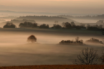 Nebelstimmung auf der Schwaebischen Alb bei Sonnenbühl-Undingen, Baden Württemberg, Deutschland